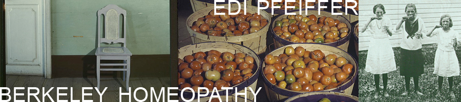 Berkeley Homeopathy Berkeley Homeopathy